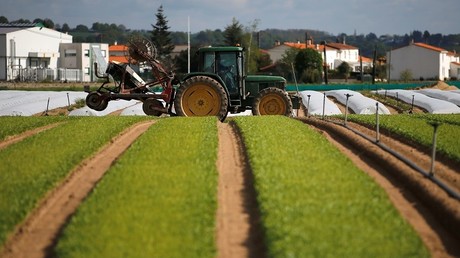 Jugé pour avoir détourné 250 000 euros, un fermier assure à la Cour qu’il voulait «pimenter» sa vie