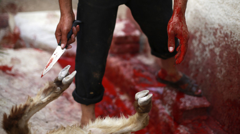 Liberté religieuse contre droit des animaux : un tribunal italien tranche en faveur des sacrifices