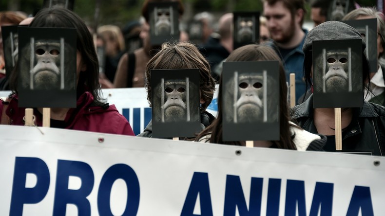Défense des animaux : une «armée de singes» envahit les rues de Strasbourg (PHOTOS)