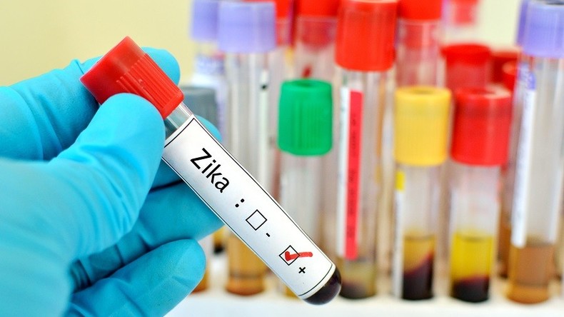 Vol en plein jour : un savant brésilien a perdu toutes ses recherches pour lutter contre Zika