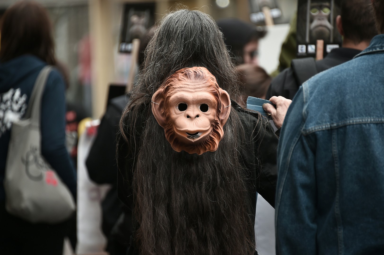 Défense des animaux : une «armée de singes» envahit les rues de Strasbourg (PHOTOS)