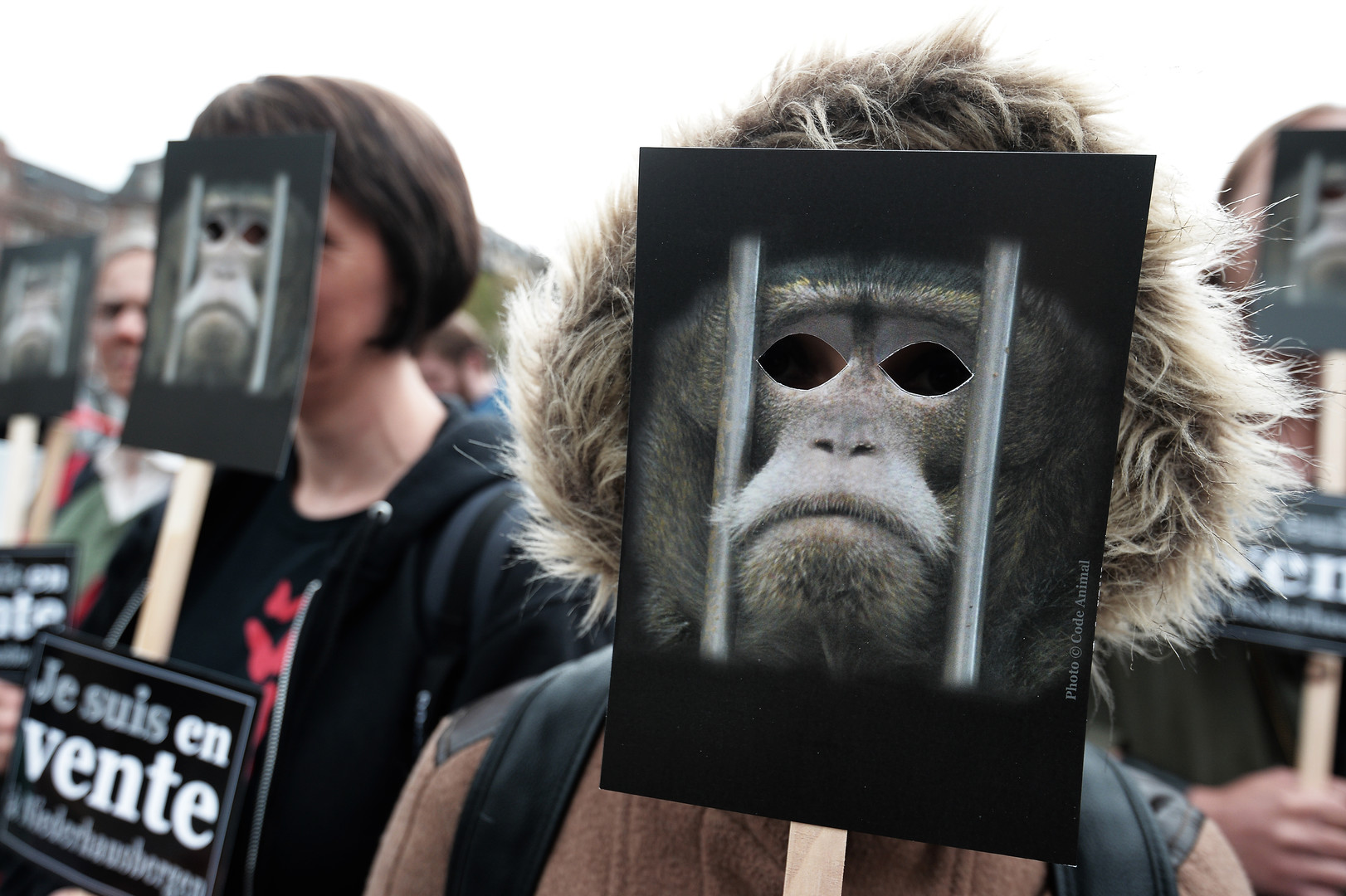 Défense des animaux : une «armée de singes» envahit les rues de Strasbourg  (PHOTOS)