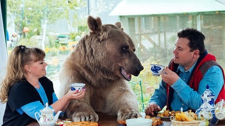 Une famille russe vit avec un ours de compagnie (VIDEO)