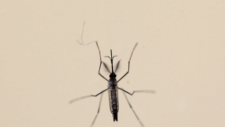 Allemagne : les contaminations par le virus Zika se multiplient, douze nouveaux cas en un mois