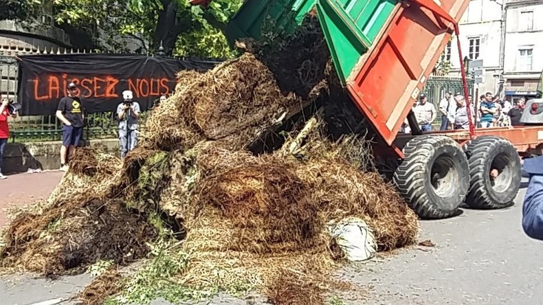 Face à la crise persistante, les agriculteurs se mobilisent pour alerter les autorités (PHOTOS)