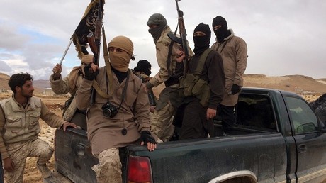 Les membres du groupe terroriste Front al-Nosra