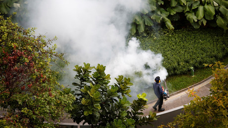 Zika : après la 41e contamination à Singapour, les autorités tentent d’éradiquer les moustiques