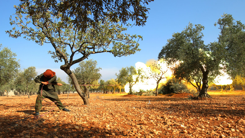 Syrie : l'envoyé spécial de l'ONU «horrifié» par les bombardements sur l'ouest d'Alep 