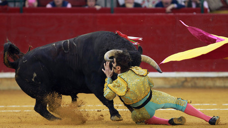 Corrida : l'histoire se répète pour le matador «pirate», de nouveau encorné à Saragosse