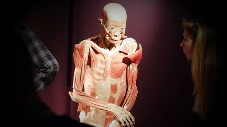 A Milan, une exposition de véritables cadavres humains crée la controverse