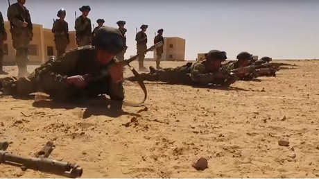 Images impressionnantes du premier entraînement des paras russes et égyptiens en Afrique (VIDEOS)