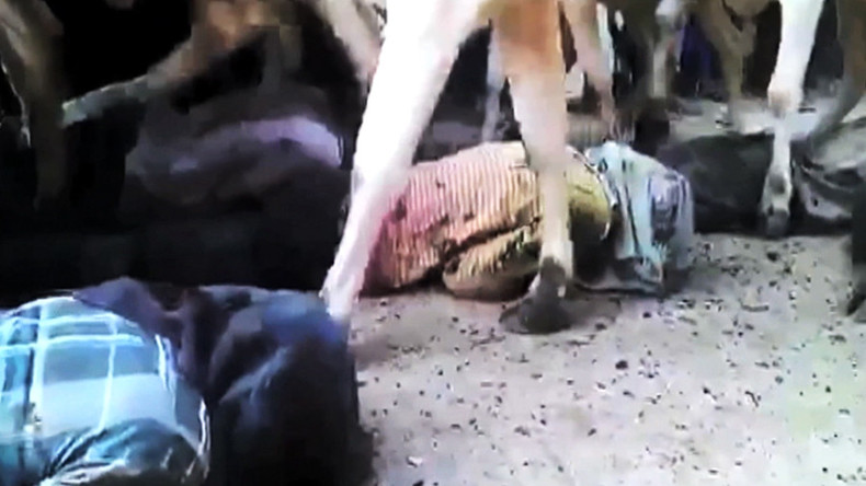 Quand prendre un coup de sabot signifie respecter la tradition (VIDEO)