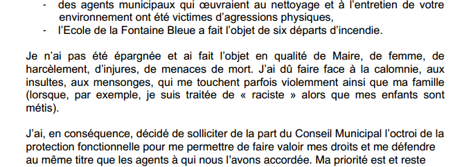 «Je ne suis pas raciste, mes enfants sont métis» : la maire de Beaumont-sur-Oise huée sur Twitter