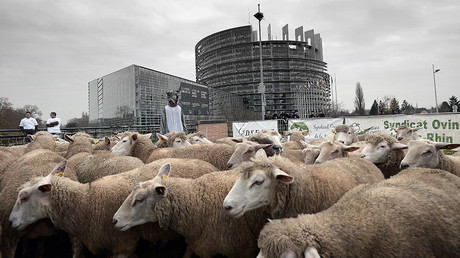 Manifestation devant le parlement européen en novembre 2014 ©FREDERICK FLORIN / AFP