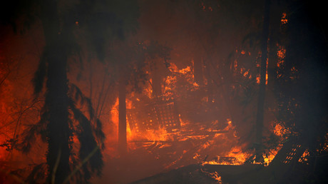 #Israelisburning : un hashtag célébrant les incendies en Israël fait rage sur Twitter