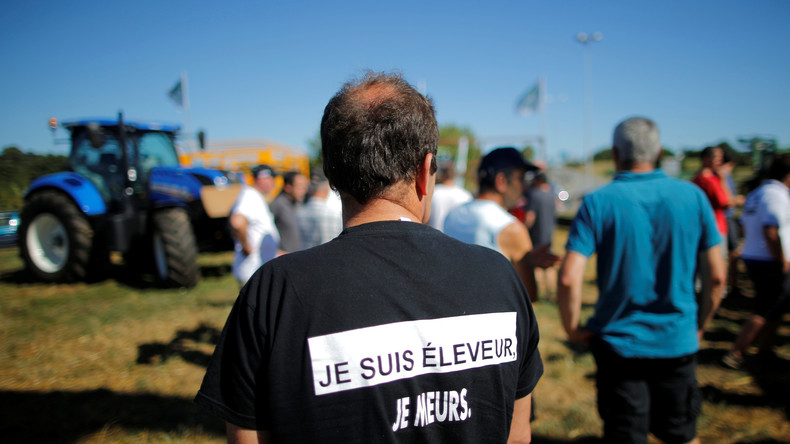 «Les éleveurs sont en train de mourir» : pourquoi ce silence des candidats à la présidentielle ?