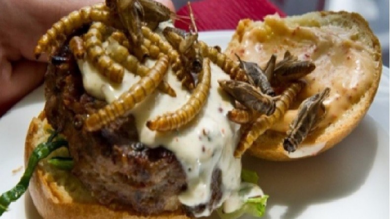 Un supermarché suisse va sortir un burger... aux insectes!