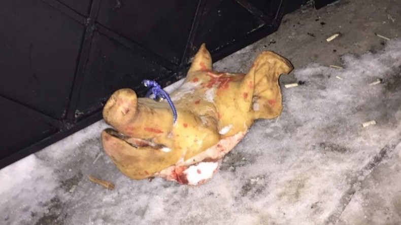 Ukraine : un lieu de pèlerinage juif souillé avec des têtes de porcs par des «néo-nazis»