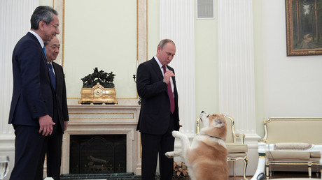 Lors de son interview avec des médias japonais, Vladimir Poutine vient avec … une chienne ! (VIDEO)