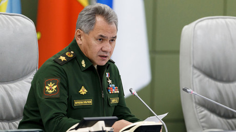 Le ministre russe de la Défense, Sergueï Choïgou