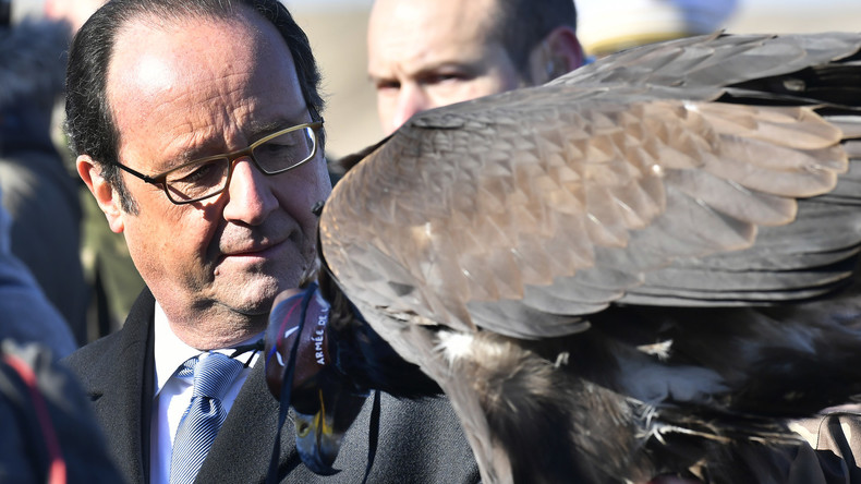 Un aigle chasseur de drones de l'armée de l'air française en démonstration face à François Hollande