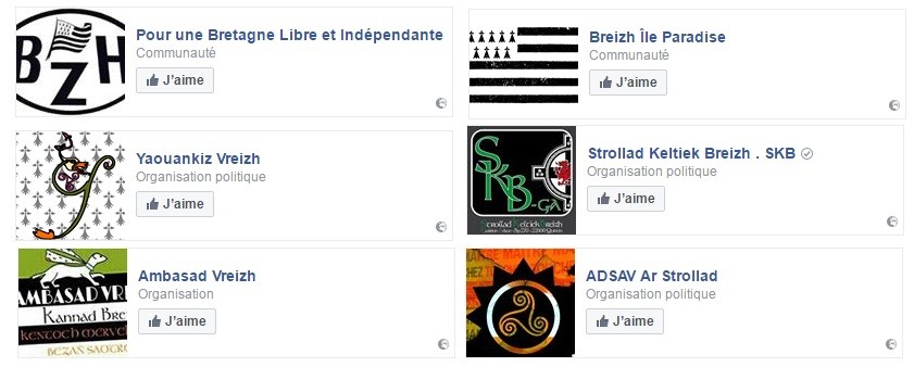 Joints, quenelles et nationalisme breton : le Facebook du gifleur de Valls épluché 
