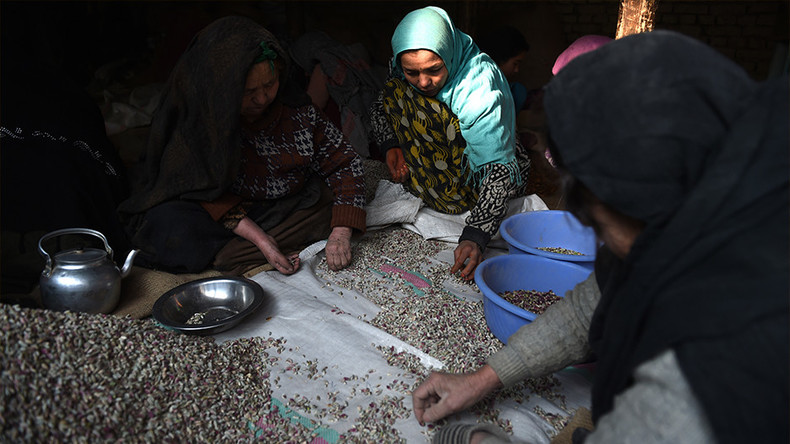 Avec 15 millions de dollars par an, la pistache est un business juteux pour les Taliban