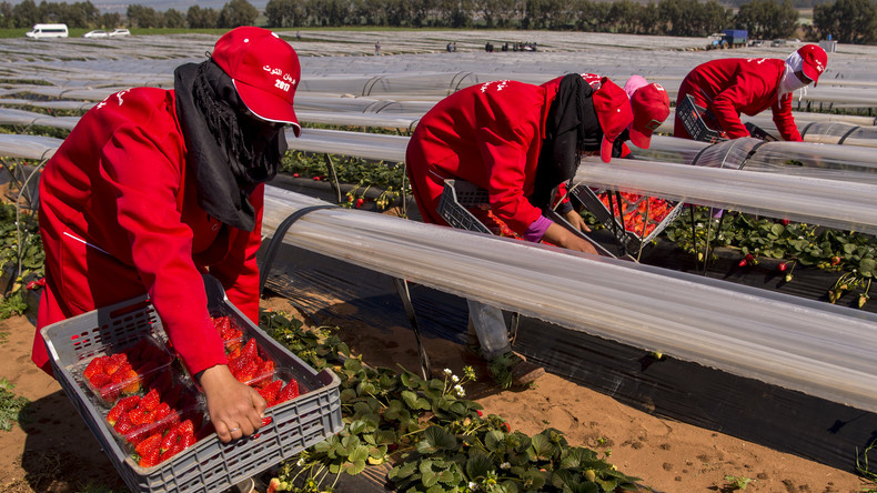 Virage du Maroc vers l'Afrique : la stratégie africaine du Maroc est mûrement réfléchie