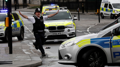 La capitale britannique a été frappée le 22 mars par une attaque qualifiée de terroriste par les autorités 