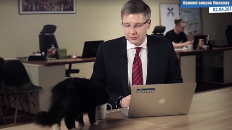 En pleine intervention, le maire de Riga se fait interrompre en direct par... son chat (VIDEO)