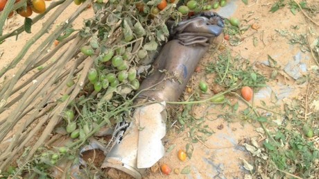 Daesh revendique le tir d'une roquette sur Israël depuis le Sinaï égyptien