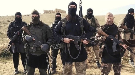 Des combattants de Daesh (image d'illustration)