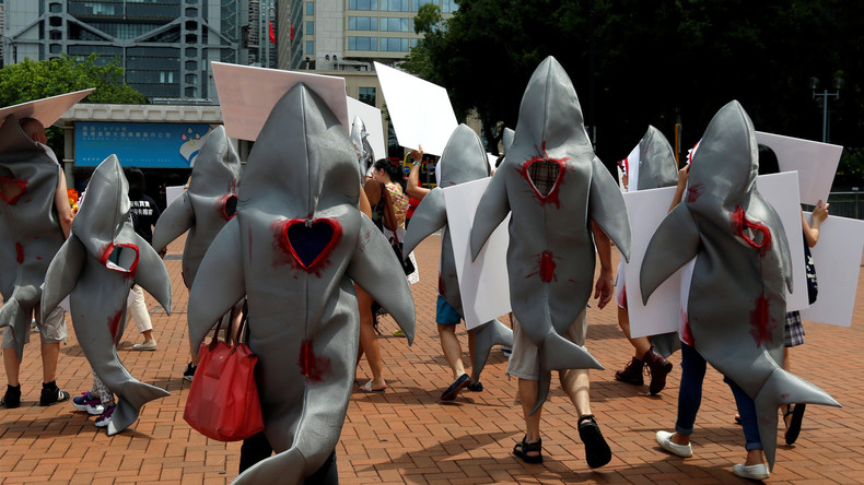 Des manifestants se déguisent en requin contre la consommation d'ailerons à Hong Kong (IMAGES)