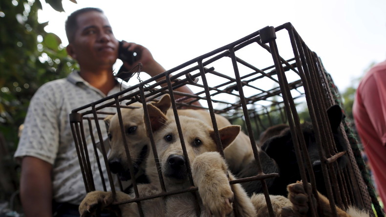 Après une vive polémique, Carrefour retire la viande de chien de ses magasins chinois