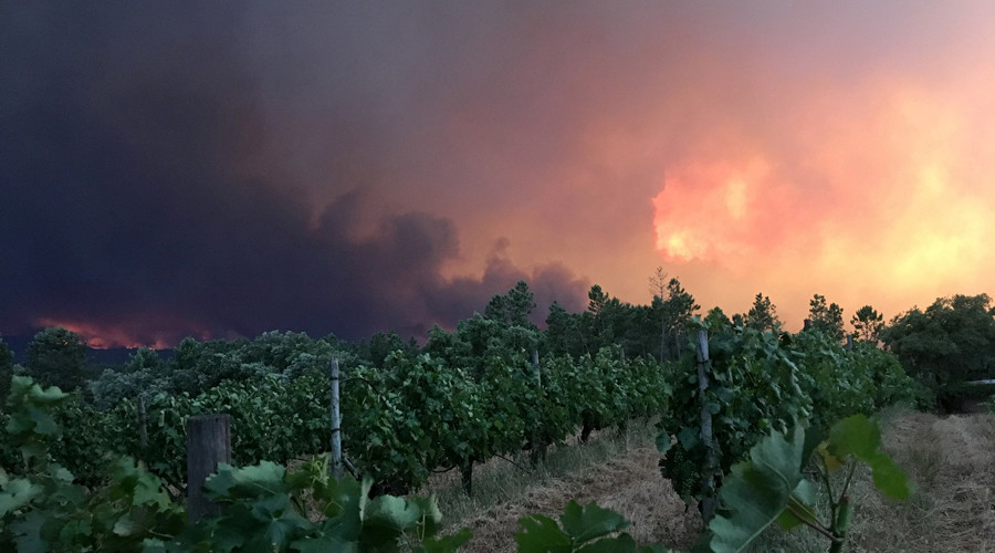 «La plus grande tragédie de la décennie» : 62 morts dans un incendie de forêt au Portugal (IMAGES)