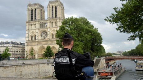 Un gendarme patrouille près de Notre-Dame de Paris
