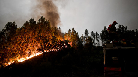 «La plus grande tragédie de la décennie» : 62 morts dans un incendie de forêt au Portugal (IMAGES)