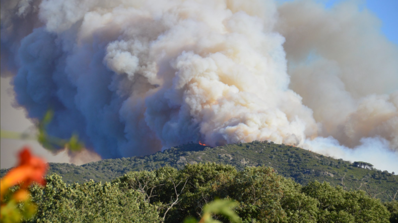 Un violent incendie à la frontière franco-espagnole embrase 150 hectares de forêt