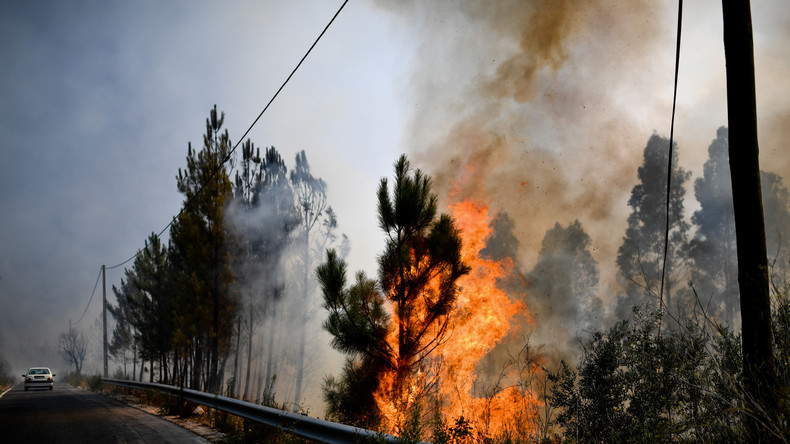 Malgré une accalmie, les feux de forêt continuent de faire rage au Portugal (VIDEO)
