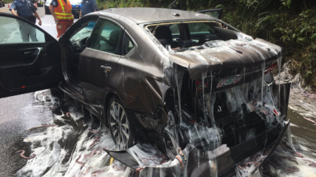 Accident dans l'Oregon : un camion déverse sur la route 3 tonnes... d'anguilles de vase (IMAGES)