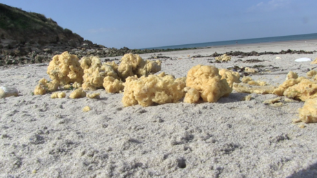 Quelle est cette mousse jaune qui envahit les plages de la Côte d’Opale ? (VIDEO)