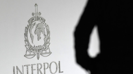 Interpol diffuse une liste de 173 terroristes de Daesh qui seraient prêts à frapper l'Europe