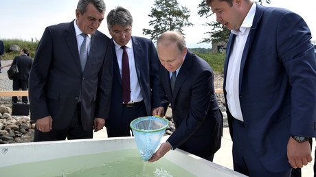 Vladimir Poutine lâche des alevins dans le lac Baïkal