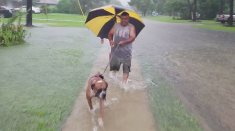 Des habitants de Houston fuient avec leurs chiens les inondations provoquées par la tempête Harvey