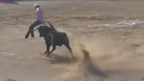 Attaqué par un taureau, un militant anti-corrida se fait sauver la vie par des toréadors (VIDEO)