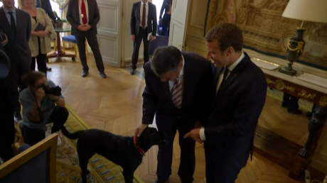 Nemo assiste à la visite de Sigmar Gabriel à l’Elysée.. qui lui prodigue sa ration de câlins