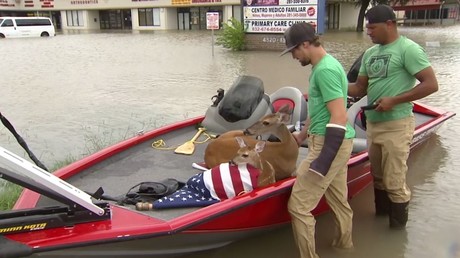 Le sauvetage des habitants et des animaux se poursuit au Texas