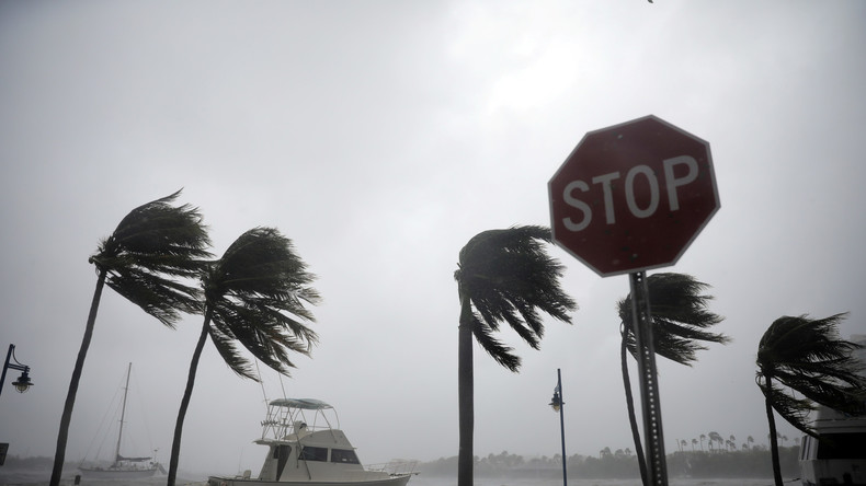 «Ne tirez pas sur Irma !» : face aux suggestions d'internautes, la police de Floride met en garde