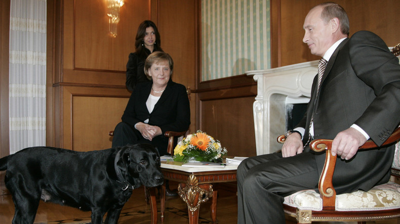 Le magazine allemand Focus s’excuse après avoir traité Vladimir Poutine de «chien»