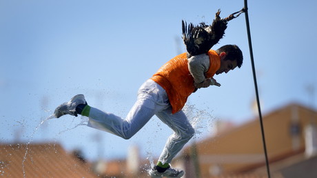 Journée des oies à Lekeitio : accrochés au cou de volatiles, des festivaliers virevoltent